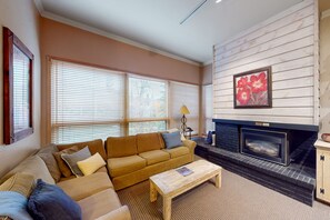 TV, fireplace, DVD player, books