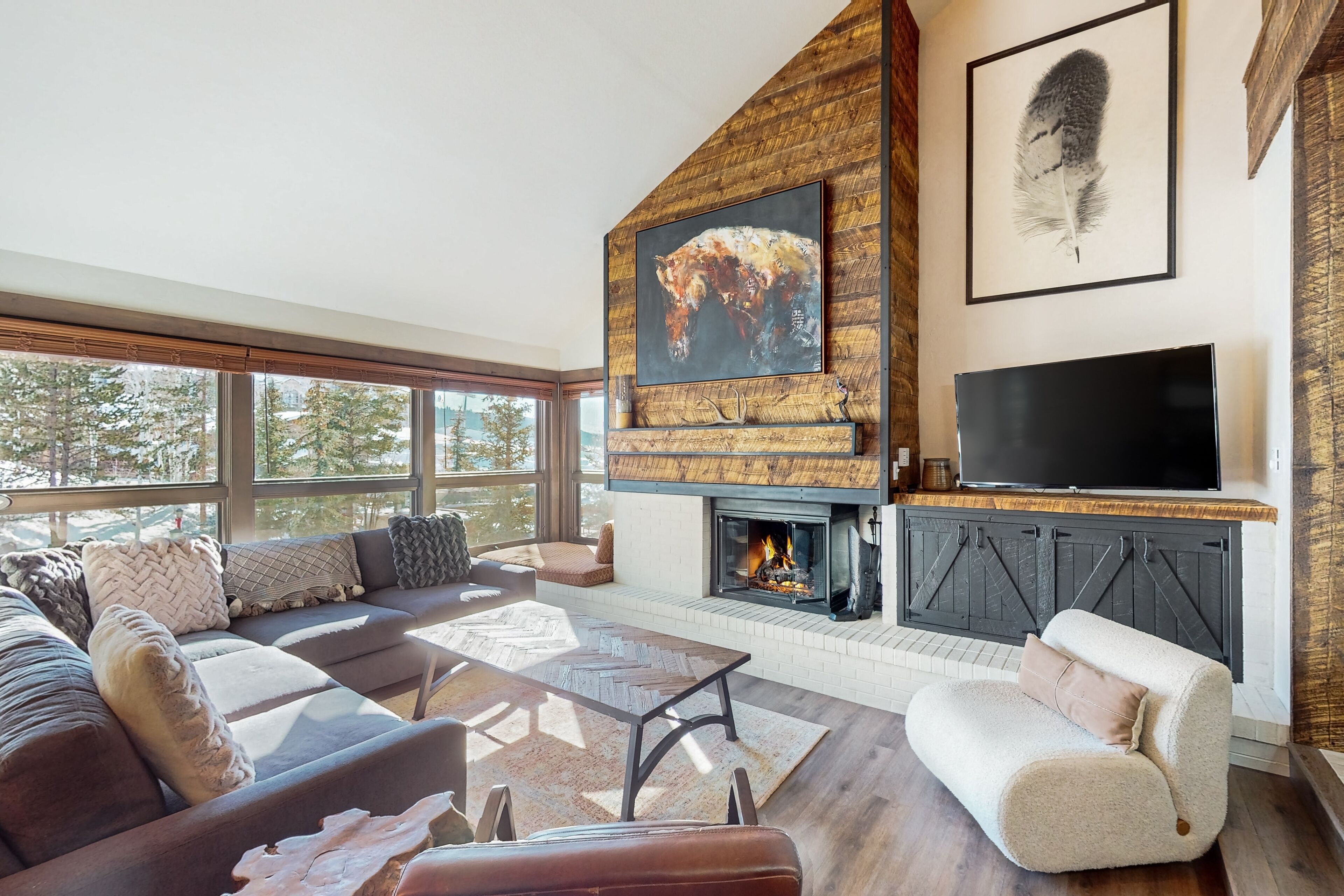 Fernseher, Kamin, Bücher