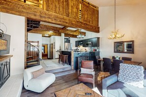 TV, fireplace, books