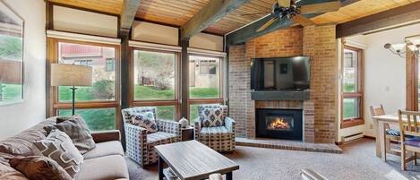 TV, fireplace, books