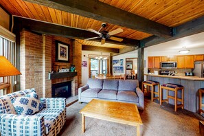 TV, fireplace, books