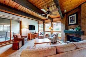 TV, fireplace, books