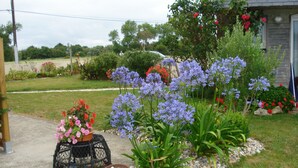 Un jardín con diversas flores y plantas, una mesa pequeña con una cesta, y una casa al fondo.