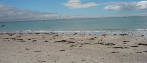 Playa en los alrededores