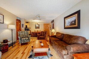 TV, fireplace, DVD player, books