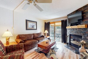 TV, fireplace, DVD player, books