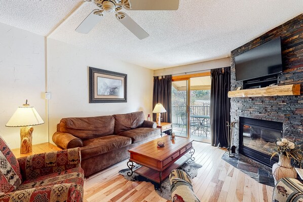 TV, fireplace, DVD player, books