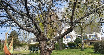 GĂźte centre ville Chateaubriant avec terrasse et jardin