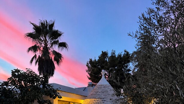 A modern house with a thatched-roof structure, a palm tree, and a well-lit entrance.