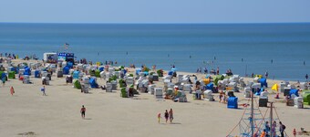 Nordseeküste, Naturstrand zu Fuß erreichbar,Fewo am Deich!