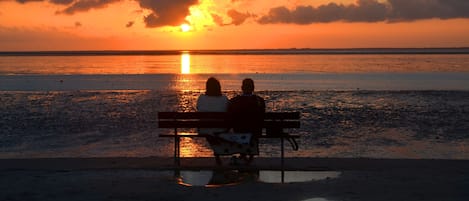 Beach nearby, sun-loungers