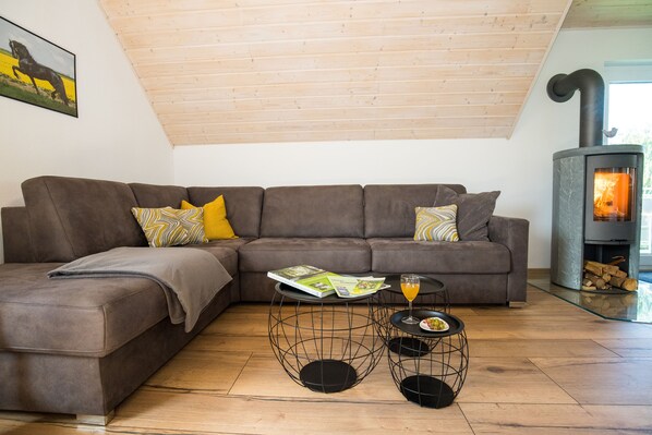 Smart TV, fireplace, foosball, books