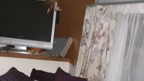 A bed with a black cover, purple pillows, a television on a stand, and a floral curtain. - retro  housebus love (Waikanae)