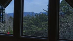Une vue à travers une fenêtre sur un paysage montagneux, avec des arbres et des lignes électriques.