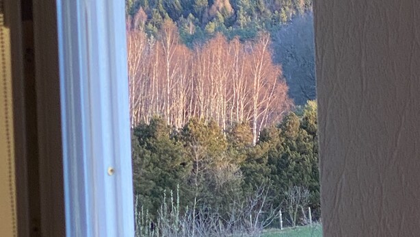 A view through a doorway of a natural landscape with a prominent rock formation and dense forest. - "FeWO Gohrischblick" (Gohrisch)