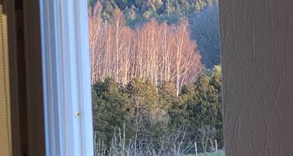 "FeWO Gohrischblick"