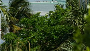 A beach view with palm trees and a clear sky. - Anglers Reef Islamorada  home with ocean views, private marina, beach & pool (Islamorada)