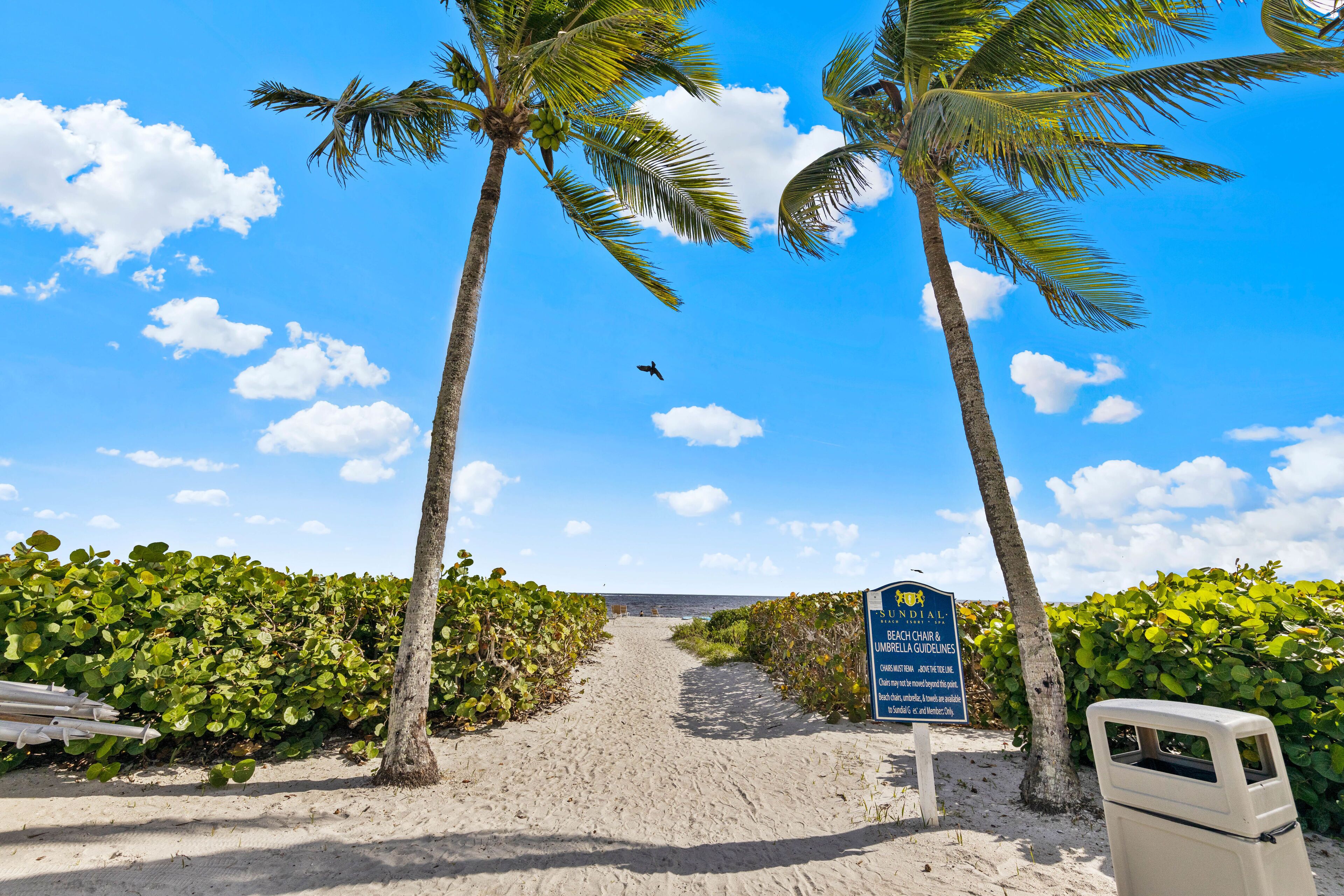 A beach path with palm trees, a sign indicating beach chair and umbrella guidelines, and a view of the ocean.
