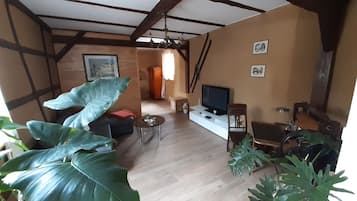 Smart-tv, een dvd-speler, boeken en een muziekbibliotheek