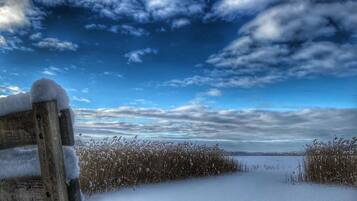 Ranta lähistöllä, aurinkotuoleja