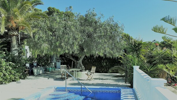 Piscine extérieure (ouverte en saison), parasols de plage