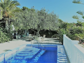 Outdoor pool - Villa Loro Loco (Pedralba)