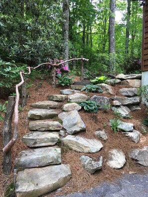 المنطقة المحيطة بالمنشأة