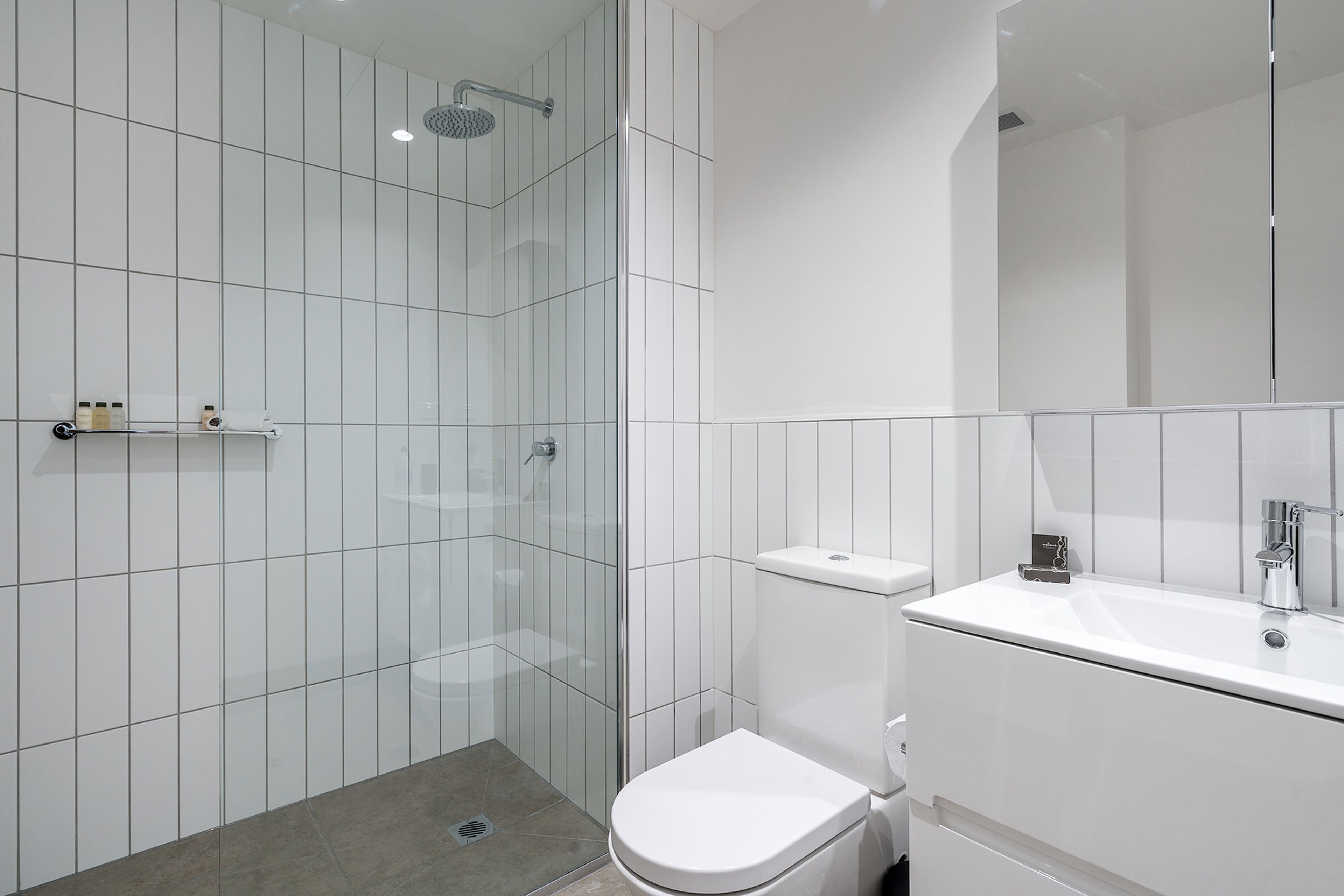 Shower, hair dryer