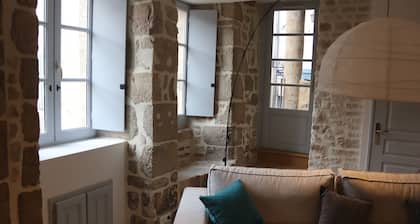Le Jardin d'Olive - Picturesque house in the old center of Terrasson
