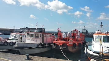 Jachthaven