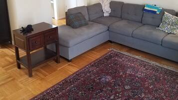 Smart TV, chimenea, reproductor de DVD y libros