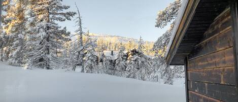 A wooden cabin surrounded by snow-covered trees.