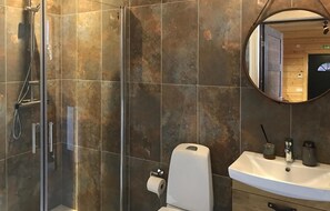 A modern bathroom with a glass shower enclosure, a toilet, and a sink with a mirror above it.
