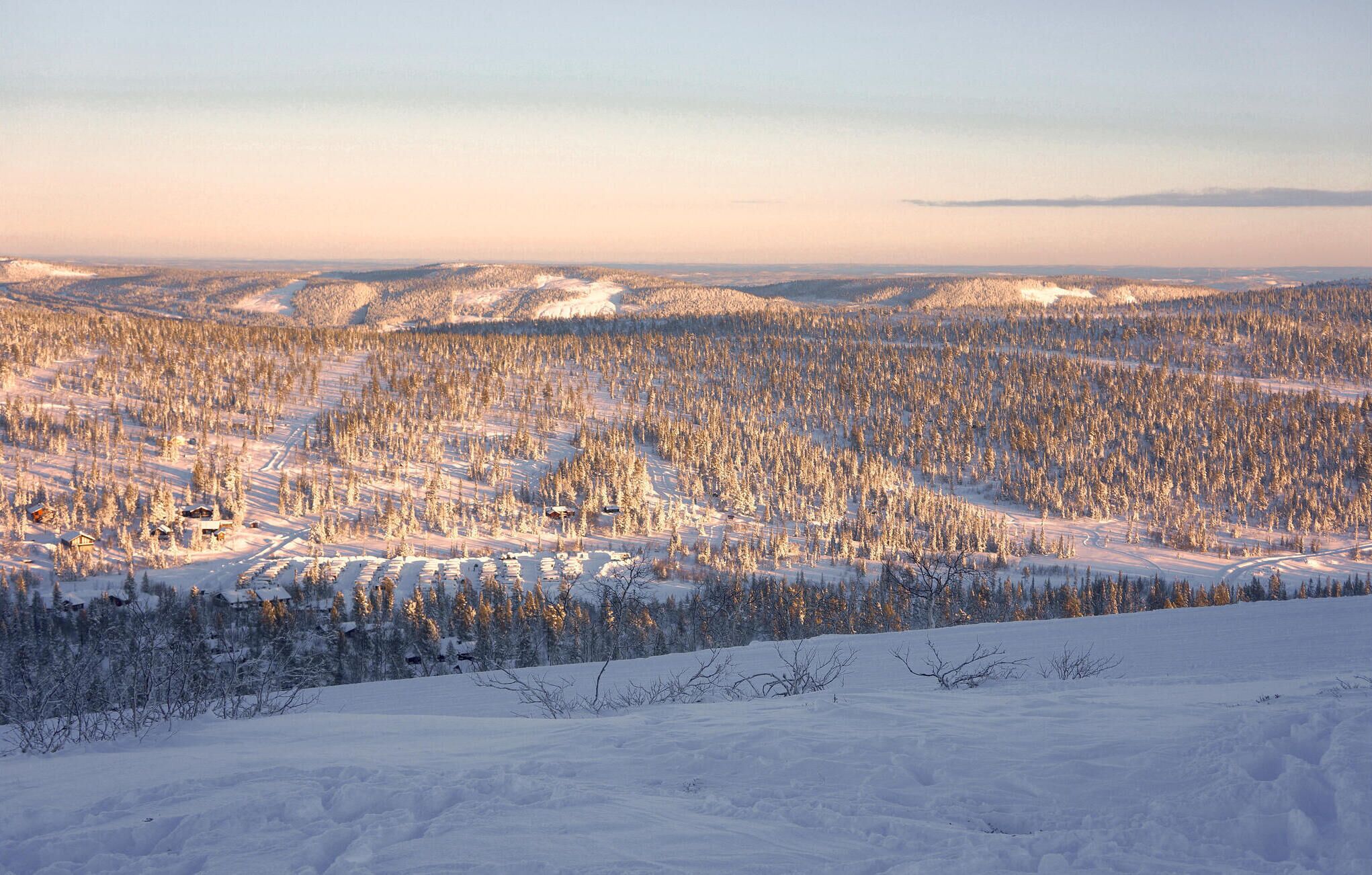 A snowy landscape with a forest and a few buildings.