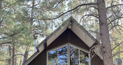 Cute cabin on quiet lot with lots of pines Dog Friendly
