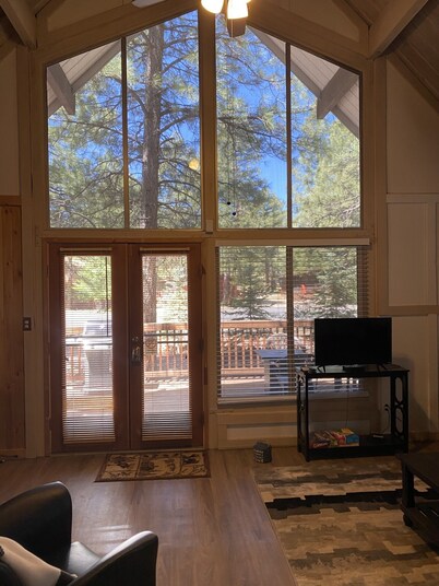 Dog Friendly Cute cabin on quiet lot with lots of pines.