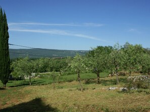 Apartment | View from property