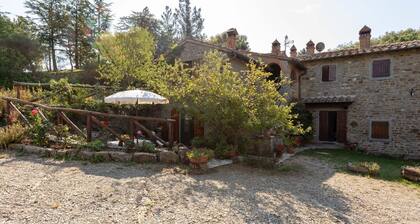Idyllic Farmhouse With Bbq, Swimming Pool, Terrace, Garden