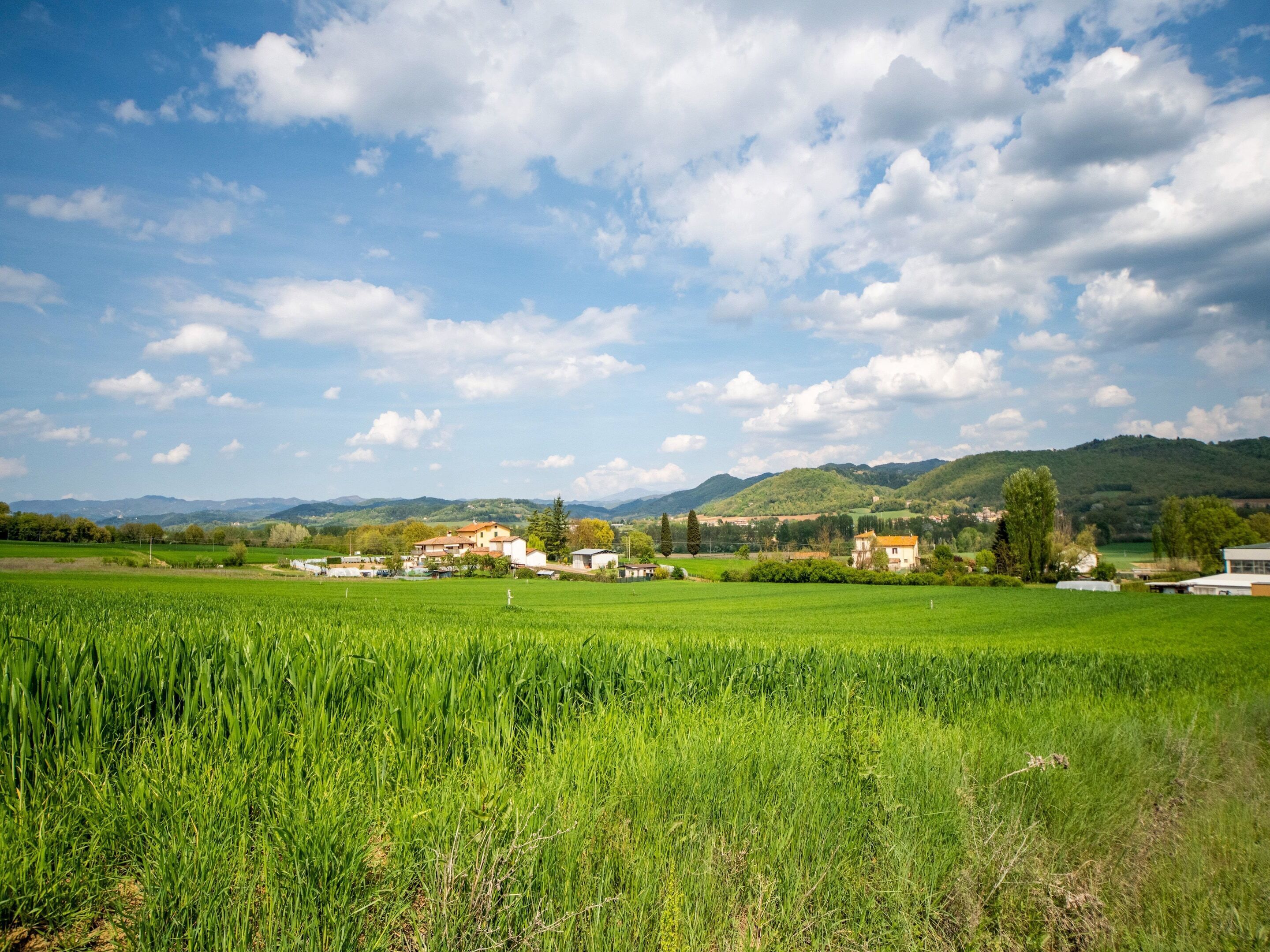 A rural landscape with green fields, a few houses, and mountains in the background.