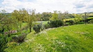 A lush green landscape with trees, a field of white flowers, and a distant view of a valley. - Farmhouse in Citta di Castello With Pool (Città di Castello)