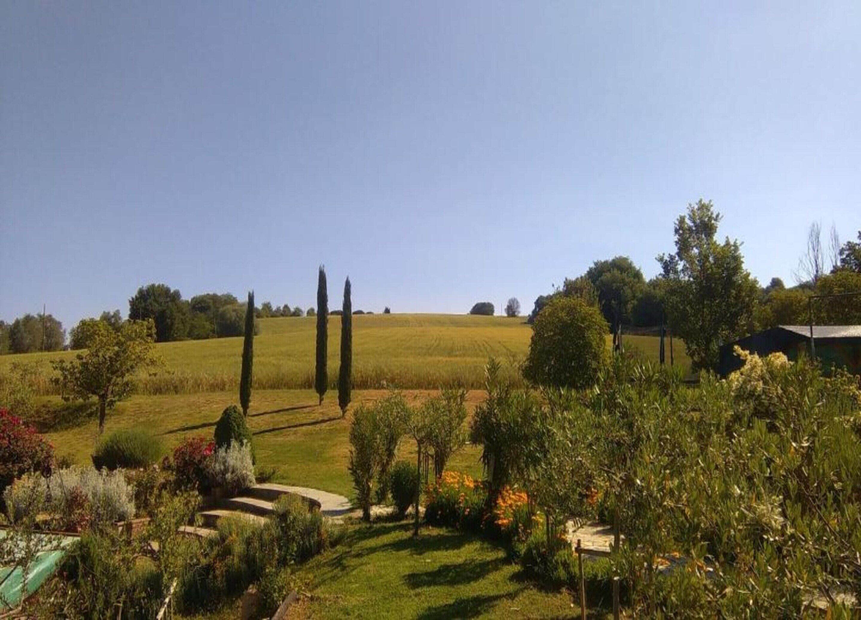 House | View from property