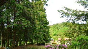 A forested area with a picnic table and benches, surrounded by dense trees and a purple flowering bush.