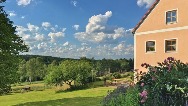 A house with a well-maintained lawn, a volleyball net, and a garden with various plants and flowers. - Apartment With all Amenities, Garden and Sauna (Schoensee)