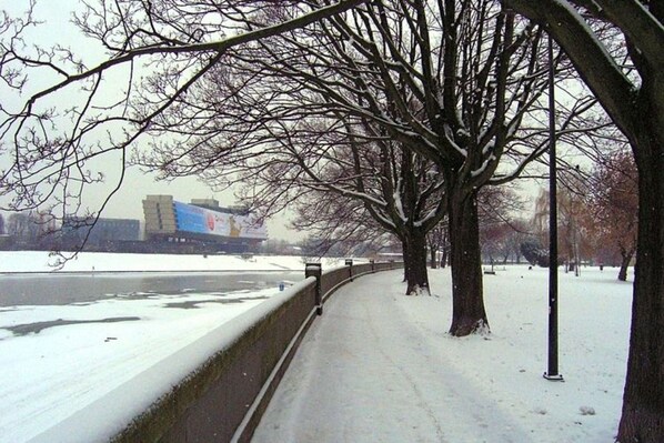 A snow-covered pathway with bare trees and a distant view of a building.