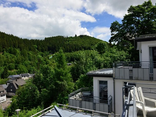 Ferienhaus in Willingen mit Skilift in der Nahe