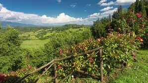 Un paisaje verde exuberante con colinas ondulantes y un cielo azul despejado.