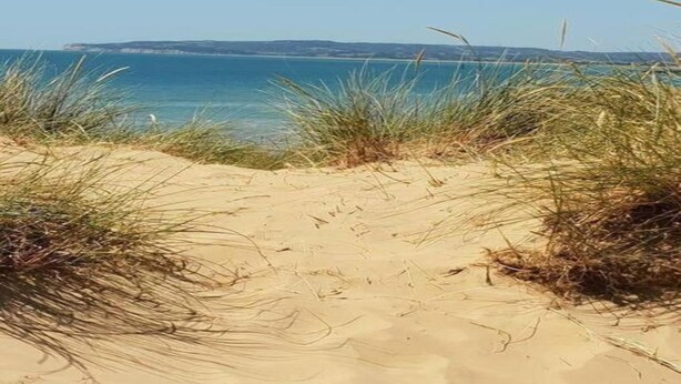 A sandy beach path leading to the sea with grassy dunes. - Lodge in Appledore Near Camber Sands Beach (Romney Marsh)