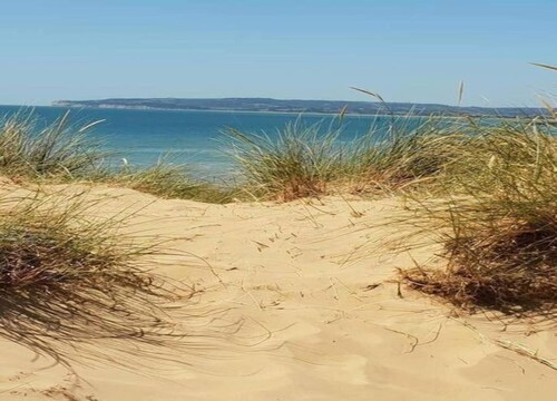 Lodge in Appledore Near Camber Sands Beach