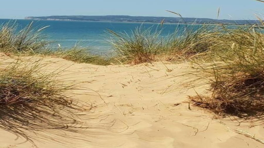 Lodge in Appledore Near Camber Sands Beach