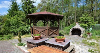Idyllic Villa With Private Pool in Trebusin Czech Republic